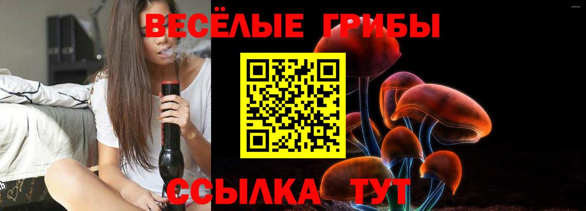 как найти   Вход с VPN  Белебей  Галлюциногенные грибы прущие грибы 
